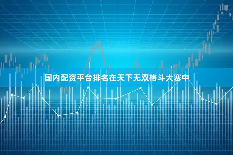 国内配资平台排名在天下无双格斗大赛中