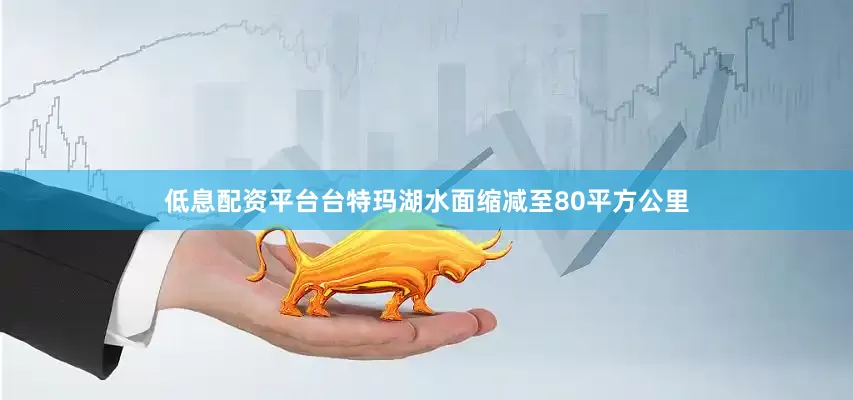 低息配资平台台特玛湖水面缩减至80平方公里